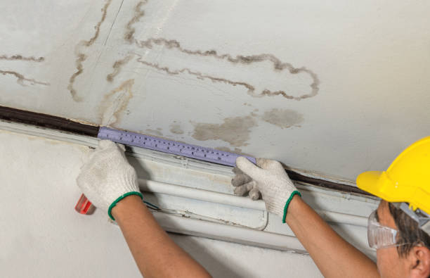 Reliable Basement Water Removal contractor in Herculaneum, MO by Water Damage Irwin